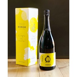 CantineBorgaProseccoDocTrevisoVenetovegancertifiedMAGNUM-20