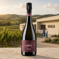 CANTINEBORGARABOSOPROSECCO100RABOSODRUERMerehalvtrendtrFantastiskrdproseccotilmad-20