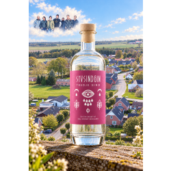 SYVSINDGINSALLWHISKYDESTILLERITREDIESINDGIN-20
