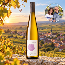 DomaineJosephScharschWolxheimAlsacePinotGris-20