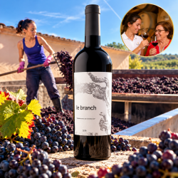 BodegaSarmenteroLeBranchRibeiradelDueroCabernetSauvignon-20