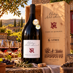 ChateauNadalHainautTerredeQuaranteAOPCtesduRoussillon6LITERSIMPERIALFLASKE-20