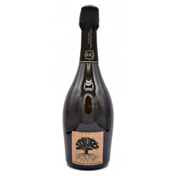ChampagneMarteauxGuillaumeMarneCUVEESPRITTERROIRS2016BrutNature-20