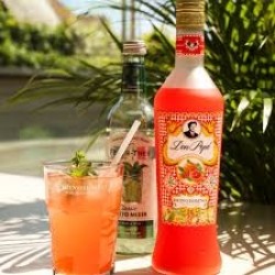 DonPepeBongiornoBlodappelsinfrasicilienVidunderligtildincocktail-20