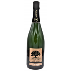 ChampagneMarteauxGuillaumeMarneLEMETQUEExtraBrut-20