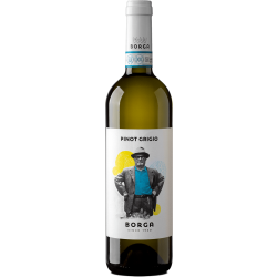 CantineBorgaPinotGrigioVeneziaDOCvegancertified-20
