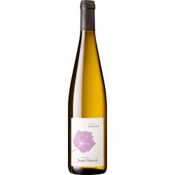 DomaineJosephScharschWolxheimAlsacePinotGris-20
