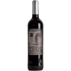 BodegaWinSonre12meses0Ruedafadlagret-20