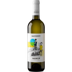 CantineBorgaSauvignonBlancIGTTrevenezie-20