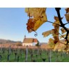DomaineJosephScharschNOWolxheimAlsaceRieslingPinotGrisBIOVIN98POINTIANMELDELSER-01