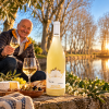 ChateauNadalHainautMARIEChardonnayIGPCtesCatalanesbedstslgendeChardonnay-012