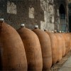AMPELIDAEMARIGNYNEUFSAUVIGNONBLANCLOIRE-01