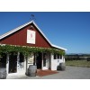 SCHUBERTWINESMARTINBOROUGHNEWZEALANDMARIONsVINEYARDPINOTNOIR2022-02