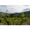 DomainePardonBeaujolaisVillagesCuvedelErmitage-01