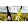 SCHUBERTWINESMARTINBOROUGHNEWZEALANDPinotNoirestate2019-01