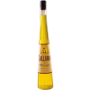 Galliano-01