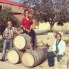 BodegaSarmenteroThanosRibeiradelDueroTemperanillo-01