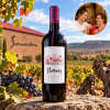 BodegaSarmenteroThanosRibeiradelDueroTemperanillo-09