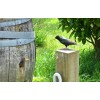 SCHUBERTWINESMARTINBOROUGHNEWZEALANDMARIONsVINEYARDPINOTNOIR2022-02