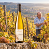 DomaineJosephScharschWolxheimAlsacePinotGrisVendangesTardives-010