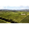 CastelloBanfiBANFIBRUTMetodoClassicoMagnum15l-05