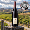SCHUBERTWINESMARTINBOROUGHNEWZEALANDBLOCKBPINOTNOIR2022-09