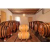 CascinaTioleBarberadAlbasuperiore-01