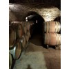ChateauDeMelinPulignyMontrachetLaCorvedesVignes2019-08