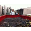 DomaineAndrCuveeMagalieVindePaysduVaucluseRhne-01