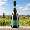 CantineBorgaProseccoBrutDocTrevisoVenetovegancertified-06