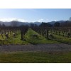 3RDROCKSAUVIGNONBLANC2019ROCKFERRYVINEYARDMARLBOROUGHNewZealand-01