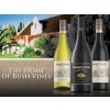 SWARTLANDWINERYLIMITEDRELEASEMOURVDRESYDAFRIKAANBEFALESTILVILDT-01