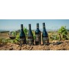 SWARTLANDWINERYLIMITEDRELEASEMOURVDRESYDAFRIKAANBEFALESTILVILDT-01