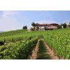CascinaTiroleBaroloDOCGMonfortedAlba-01