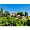 DomaineAndrCuveeMagalieVindePaysduVaucluseRhne-01