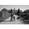 DomaineSainteRoseLaGarrigueLanquedoc-09