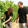 DomaineSainteRoseLanquedocORANGEVIN-03