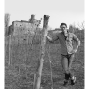 VIBERTIBUONPADREDOCGBAROLO2017-01