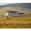 DOMAINEDANIELRIONFILSCLOSVOUGEOTGRANDCRULEPETITMAUPERTHUIS2018BOURGOGNE-01