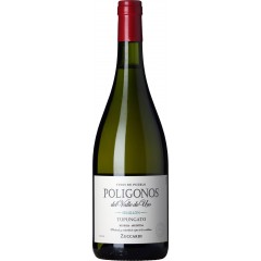 Zuccardi - "Poligonos Semillón - Uco Valley - Mendoza, Argentina. - TILBUDSPRIS