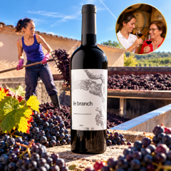 Bodega Sarmentero "Le Branch" - Ribeira del Duero - Cabernet Sauvignon
