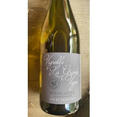 Vignoble La Grande Vigne - Bourgogne - Chardonnay