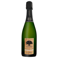 Champagne Marteaux Guillaume - Marne - "LE METÉQUE" - Extra Brut
