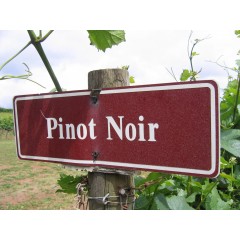 Pinot Noir Aften m/ dejlig mad. - Lørdag d. 27 maj kl. 19.00 (Pinse weekend) UDSOLGT - UDSOLGT - UDSOLGT - UDSOLGT